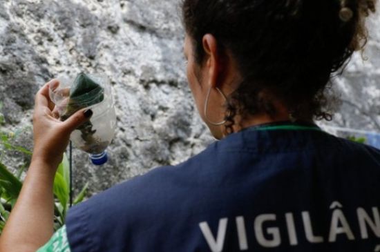 Brasil no meio de uma tempestade perfeita de dengue deve registar recorde de mortes em 2024